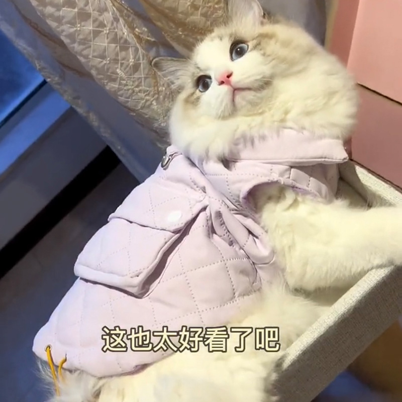 宠物马甲泰迪比熊小型犬保暖