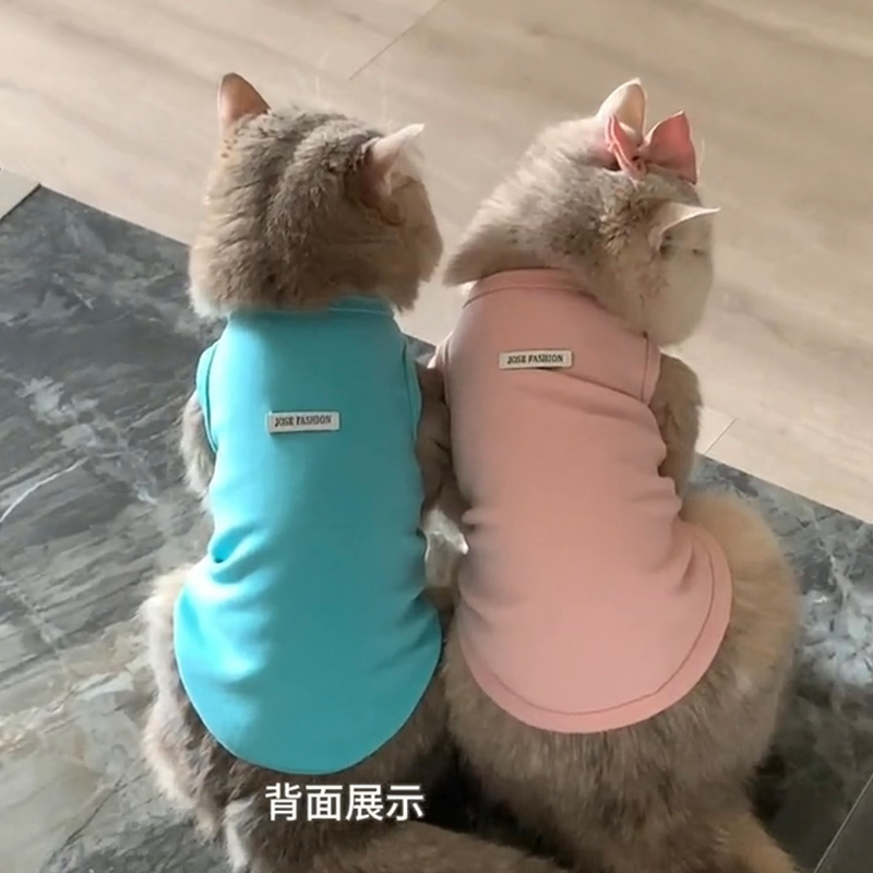 猫咪防掉毛衣服春夏装可爱布偶猫金渐层英短蓝猫狗狗夏天背心无袖