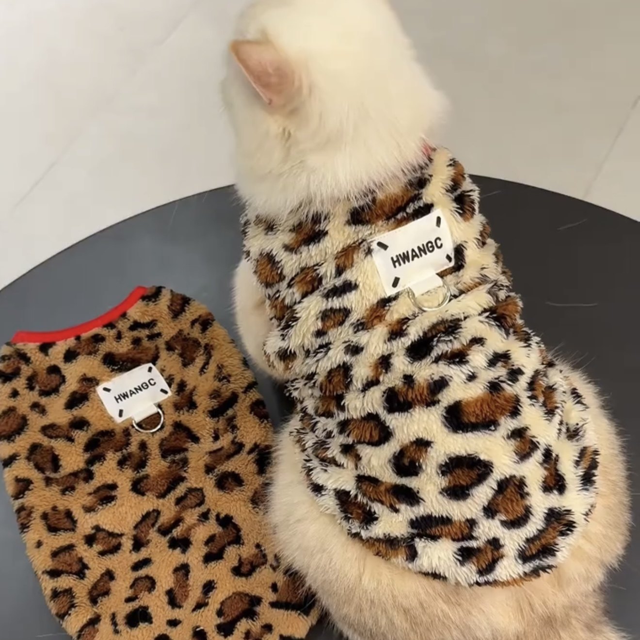 猫咪衣服放掉毛秋冬装可爱加绒保暖猫猫金渐层布偶猫英短冬天服装,宠物/宠物食品及用品,狗宠物服装/雨衣,淘宝优惠券,粉丝福利购,淘宝优惠卷