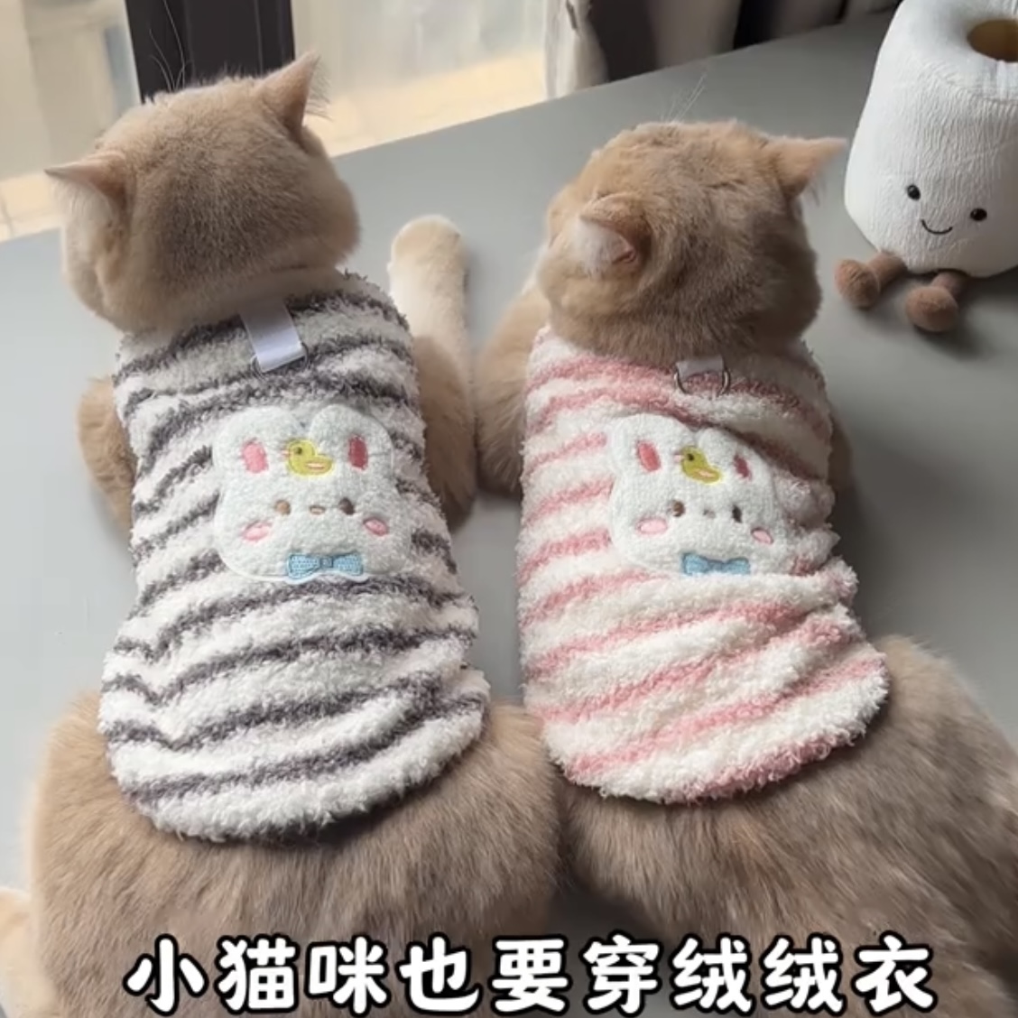 猫咪衣服秋冬装加绒保暖可爱冬天防掉毛绒衣幼猫金渐层布偶猫英短
