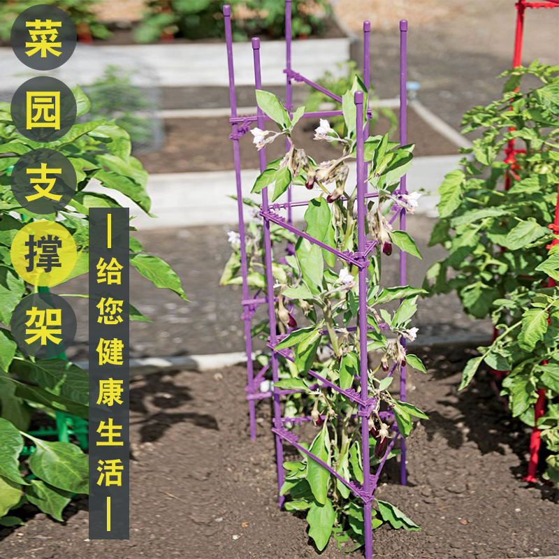 种菜架花盆花架西红柿攀爬瓜果爬藤植物杆菜园支撑架黄瓜架子支架