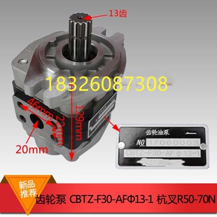 AF13L齿轮泵杭叉R50 70N齿轮泵 F30 叉车配件齿轮油泵13齿CBTZ