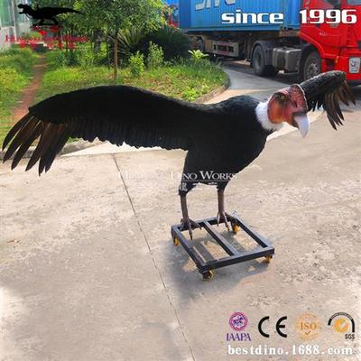仿真大型动物模型仿真秃鹫机模鸟类模型自然博物馆展览参观拍照