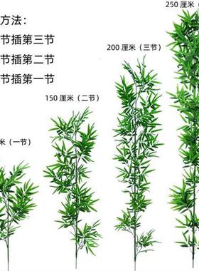 仿真竹子绿植物室内外绿色装饰塑料造景大盆栽庭院假毛竹隔断盆景