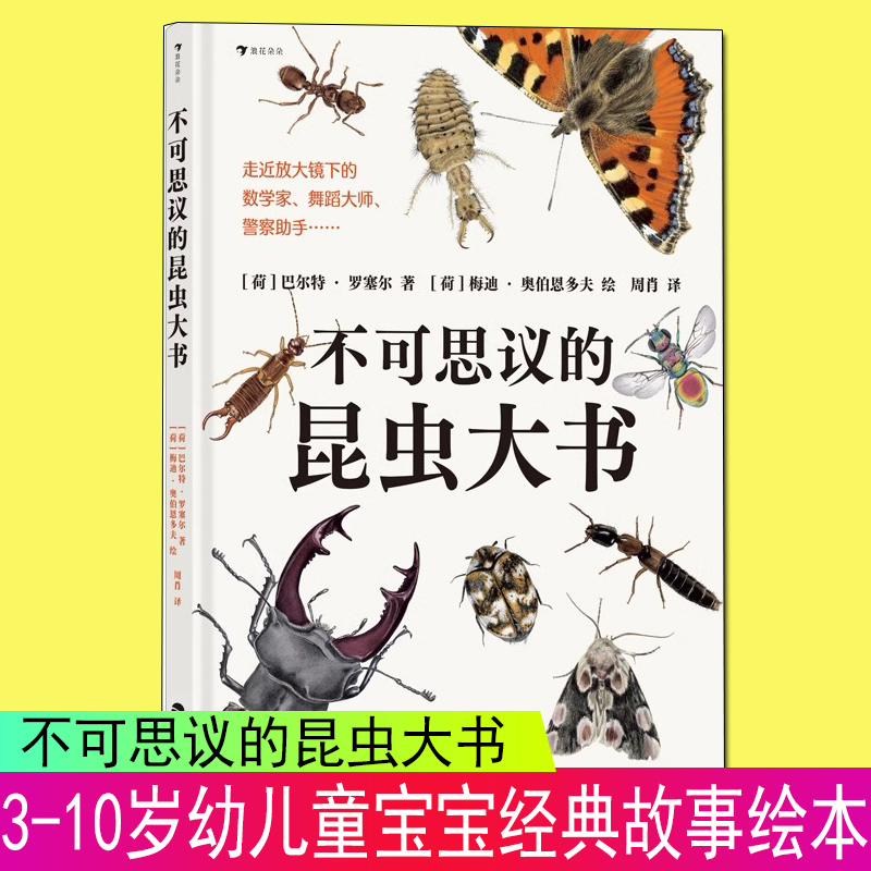 浪花朵朵正版 不可思议的昆虫大书 8岁以上超精细手绘图达尔文生物科学观察自然科普书籍