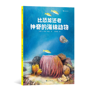 10岁 史前动物 海绵动物 神奇 科普百科 浪花朵朵正版 物种起源海洋生物 比恐龙还老