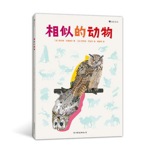 相似的动物 7岁以上儿童科普图画书 大开本全彩手绘插图 有趣的相似动物鉴别指南 培养抓住关键特征的思维能力 浪花朵朵童书