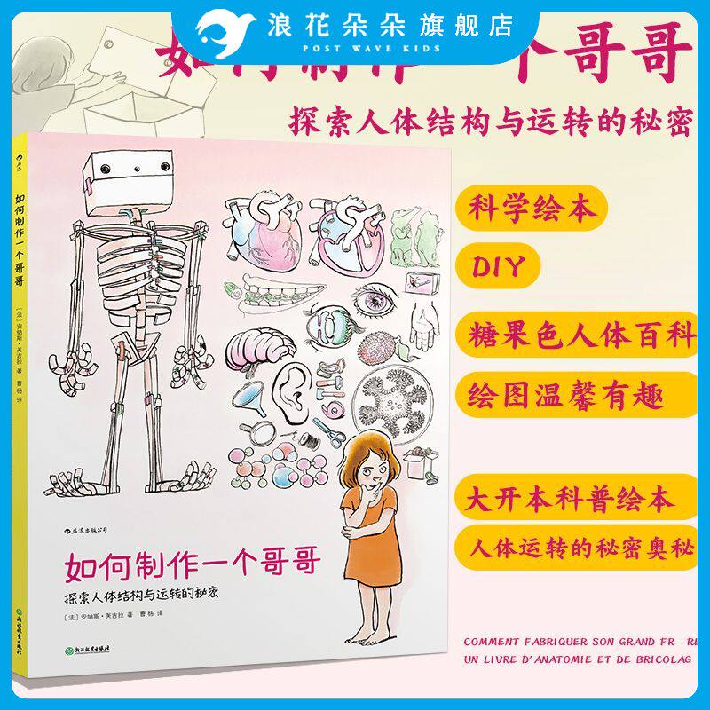 如何制作一个哥哥 人体结构书儿童3-6-8-12岁知识百科书籍 科学益智科普绘本少儿读物人体运转的秘密奥秘我们的身体大开本科普绘本