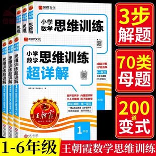 全解析小升初古诗文 王朝霞小学语文阅读训练100篇超详解同步阅读理解专项训练书一二三四五六年级一本阅读真题三段式 2025 26新版