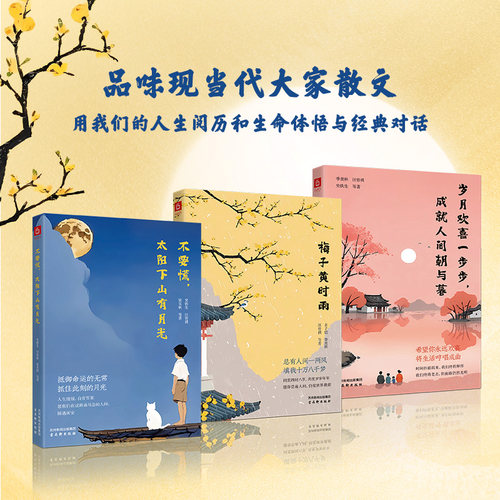 文学三本套装 大师的岁月之书，看名家如何看待时间与成长 不要慌，太阳下山有月光 岁月欢喜一步步，成就人间朝与暮 梅子黄时雨