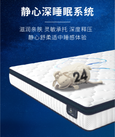 舒达·爱情海床垫