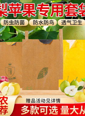 梨子套袋专用袋水果套袋秋月梨袋黄金梨晚秋黄梨苹果专用套袋纸袋