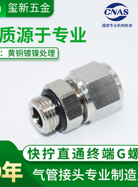 全铜镀镍快拧G螺纹接头YPN 8-02G 耐高压 直通快拧终端O形圈密封