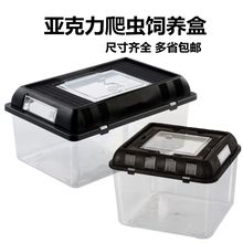 包邮亚克力手提便携饲养箱蜘蛛角蛙守宫宠物蛇养殖盒龟盒