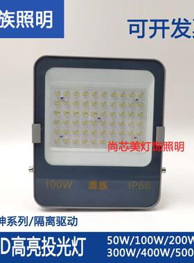 鹰族led投光亮亮射灯室外庭院强光超亮工地工厂房防水探照灯户外