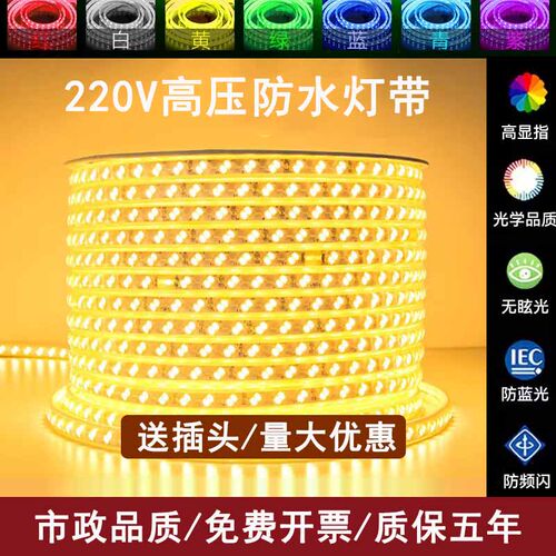 LED灯带开关220V三星光源家装户外防水防雨工程隧道高压灯条彩色