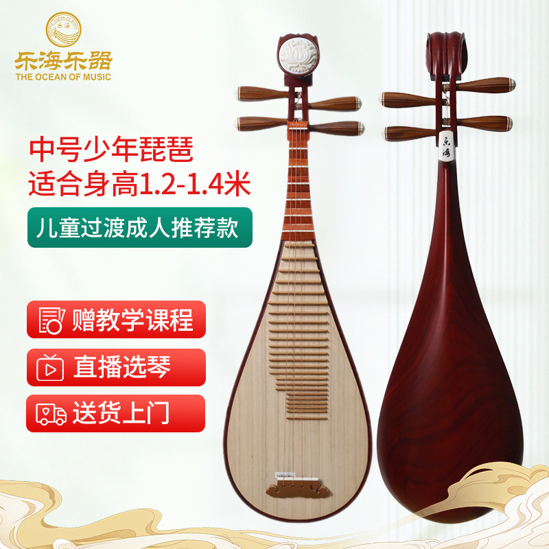 乐海 少年中号琵琶儿童成人过渡款非洲紫檀木花开富贵头饰912S