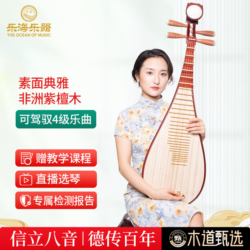 乐海 琵琶乐器初学者入门考级非洲紫檀木材质木轴木相琵琶DJ12-2