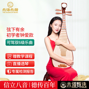 乐海 琵琶乐器进阶演奏特氏古夷苏木材质木轴木相木道甄选款琵琶