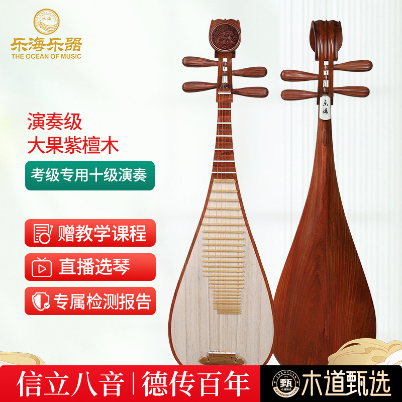 乐海 琵琶乐器考级演奏大果紫檀木材质原木抛光祥云头饰琵琶9119