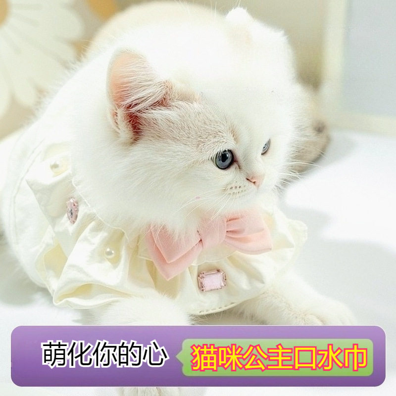 手工宠物围嘴蝴蝶结珍珠钻石款粉色蛋糕裙款猫狗口水巾猫咪公主风