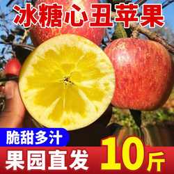 正宗云南昭通苹果新鲜水果野生丑苹果当季整箱9斤冰糖心孕妇苹果