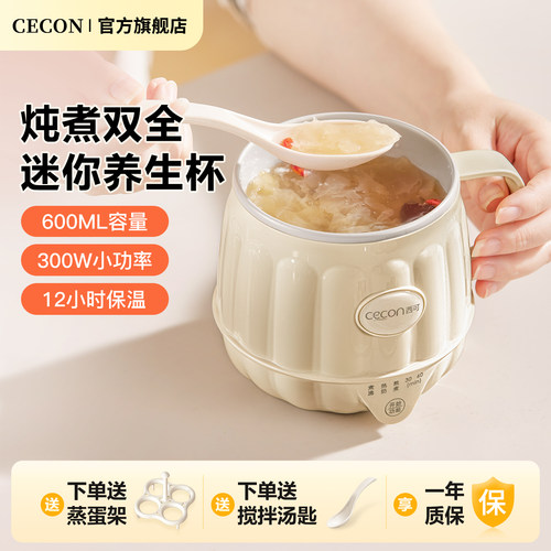 西可养生杯养生壶小型办公室