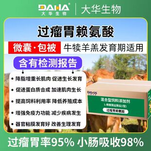 [大华生物]双效过瘤胃赖氨酸牛羊促繁殖增肥增免疫专用饲料添加剂
