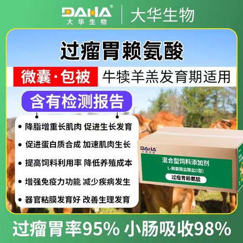 DAHA大华牛羊专用过瘤胃赖氨酸