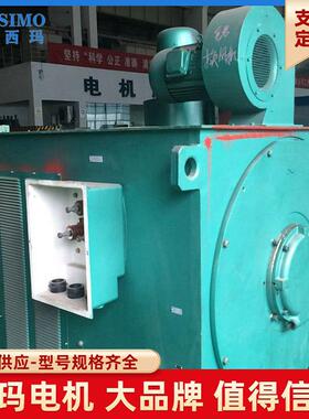 YJT变频调速电机三相异电动机调速电机西玛高压异步交流电动机