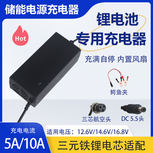 实标5A10A充电电流充电器