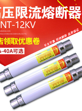 高压限流熔断器SDLAJ-12KVXRNT-10KV6.3A-40A高分段能力熔断器6.3