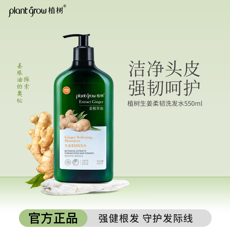 植树生姜柔韧强发丝洗发水 控油蓬松改善毛躁柔顺持久留香洗头露