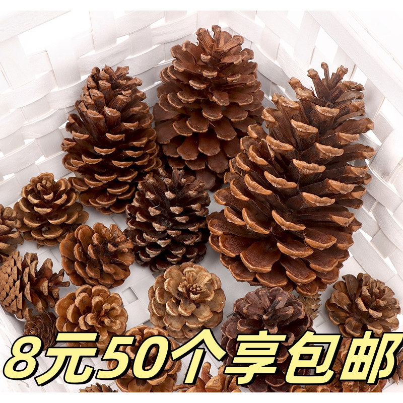 DIY幼儿园干花松果松塔装饰品摆件环创手工材料森系环保礼盒装