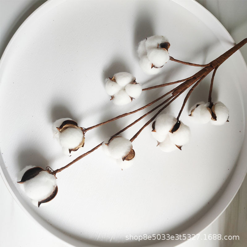 白色天然棉花头带壳带杆干花花艺diy 花束配件花店装饰材料圣诞节