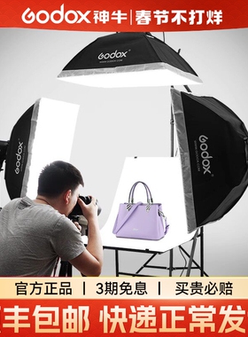 Godox 神牛E250 W摄影闪光灯SK400ii二代专业室内摄影棚灯证件珠宝照打光灯SK300W静物产品拍照400W影视灯
