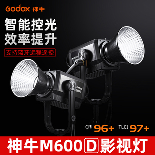 直播主播视频摄像灯600W影棚摄影常亮LED双色温补光灯聚光灯便携 M300Dbi影视灯大型服装 神牛M600Dbi M200Dbi