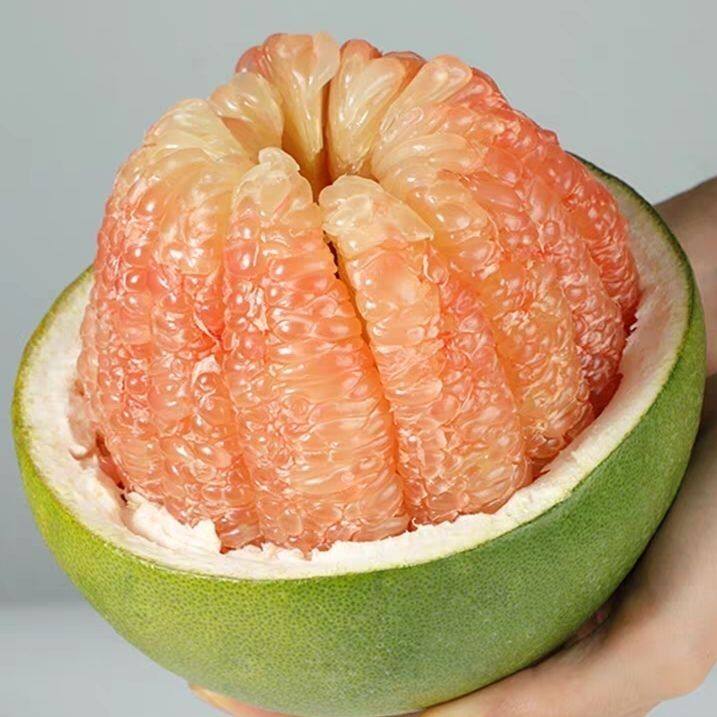 正宗泰国青柚红宝石蜜柚翡翠红心柚子