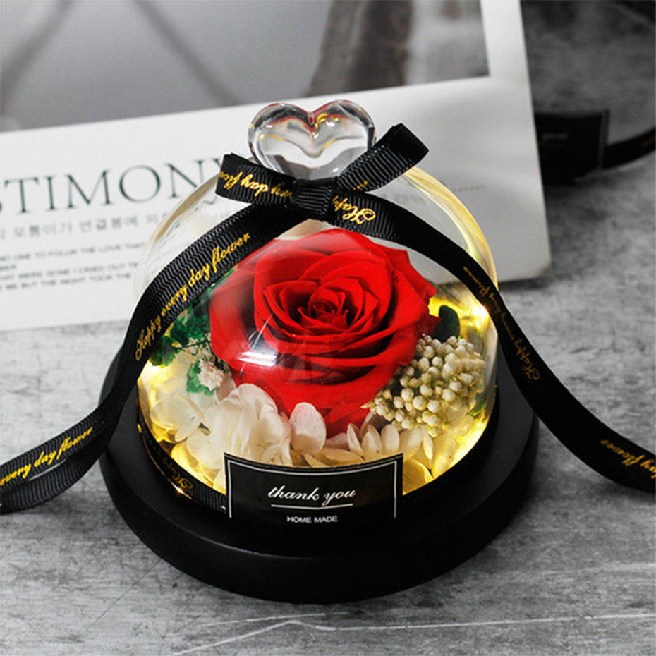 rose beauty and the beast preserved rosevalentines day gift
