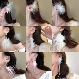 Feather tassel earrings, earrings, pendants, and earrings