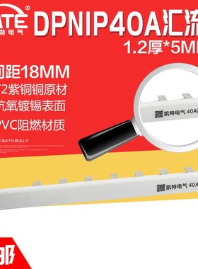 DPN1P 40A汇流排 紫铜1.2*5 DZ47空开连J接排C45断路器接线排KT01