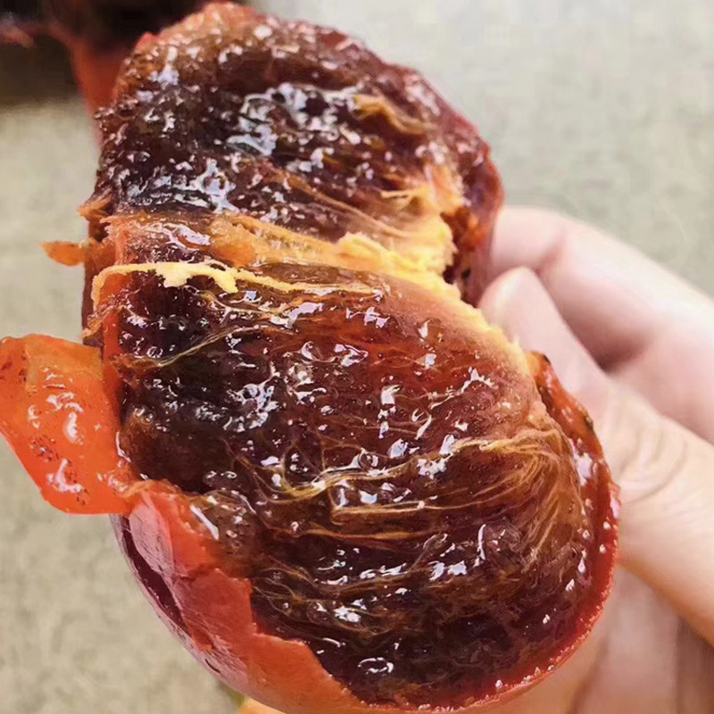 新品种和歌山黑糖柿子苗好吃