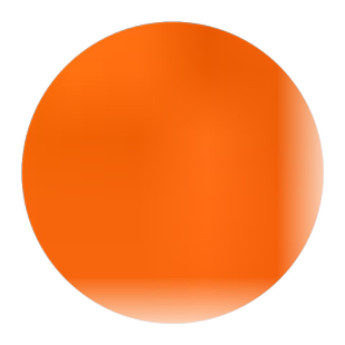 新品种秋蜜柿火晶柿汁多肉软甜脆柿子树苗庭院地栽嫁接柿子树果苗