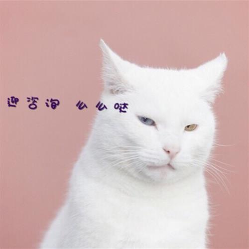 神奇的补差价链接