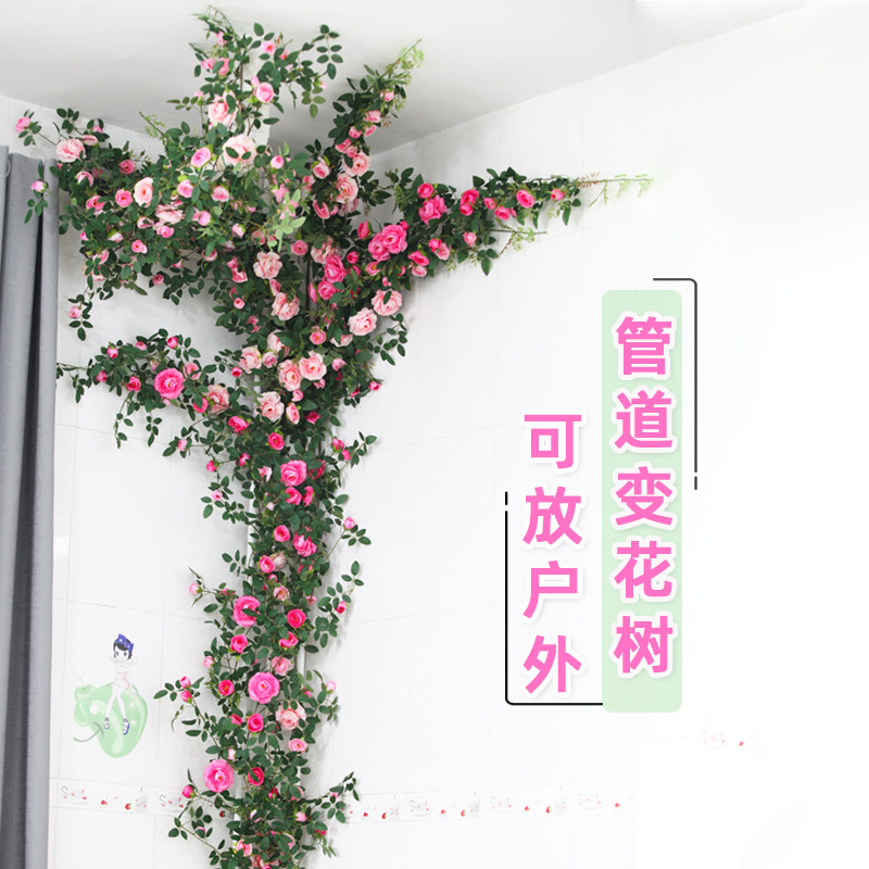 超级NICE的管道遮挡花藤