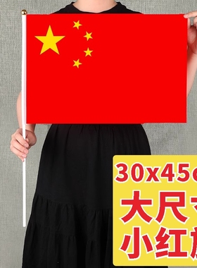 6号30x45cm国旗小红旗手摇旗幼儿园手摇旗子五星红旗道具党旗儿童手持装饰配送旗杆旗帜定制订做中国国旗