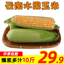 云南水果甜玉米棒新鲜10斤现摘糯生吃甜脆笨牛奶爆浆现货即食