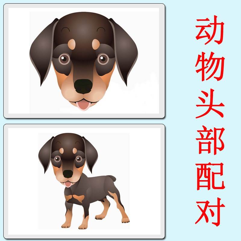 动物头部配对找对应身体部位 局部整体益智卡片 自闭