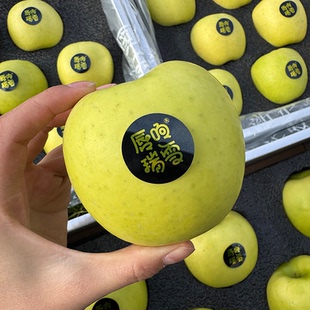 顺丰包邮甘肃庆阳唇响瑞雪特色苹果高端手提礼盒新鲜水果送礼