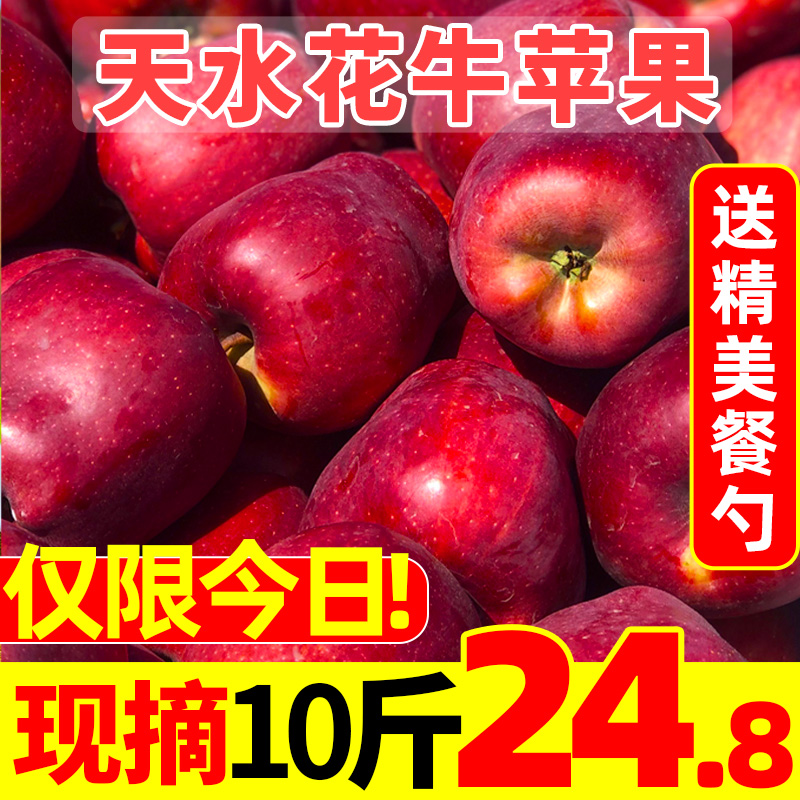 甘肃天水花牛苹果10斤苹果水果新鲜当季整箱包邮平粉面红蛇果苹果